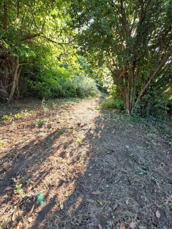 terreno agricolo in vendita a Bassano Romano