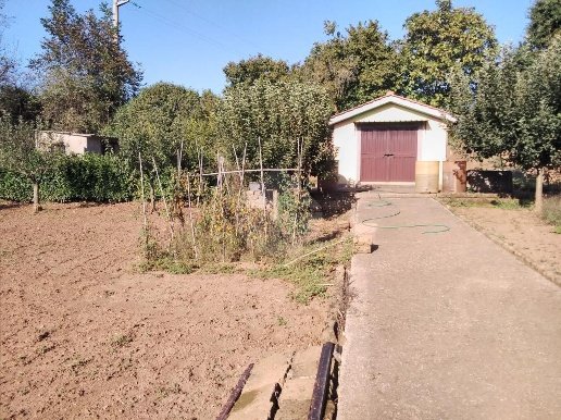 ufficio in vendita a Bassano Romano