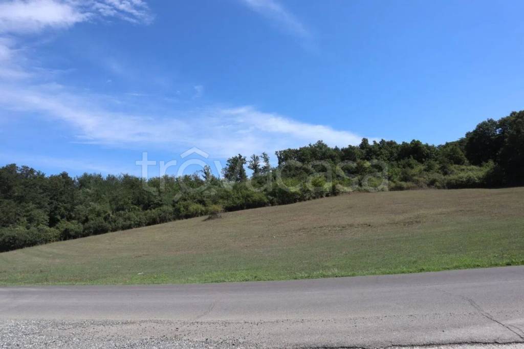 terreno agricolo in vendita a Bassano Romano