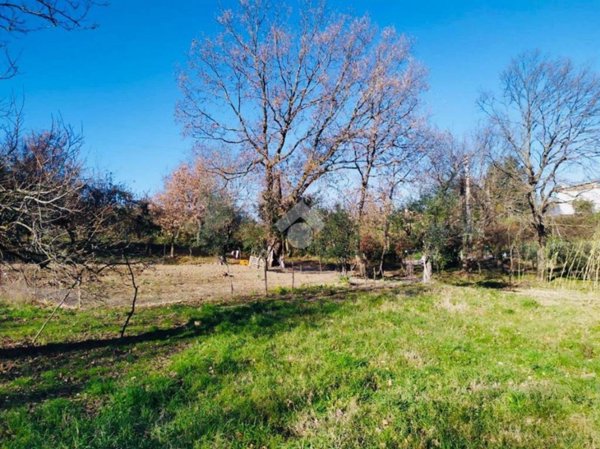 terreno agricolo in vendita a Bassano Romano