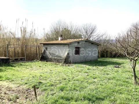 terreno agricolo in vendita a Bassano Romano