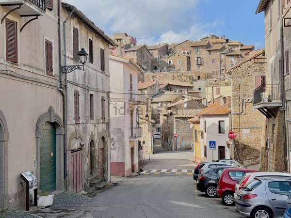 appartamento in vendita a Bassano Romano