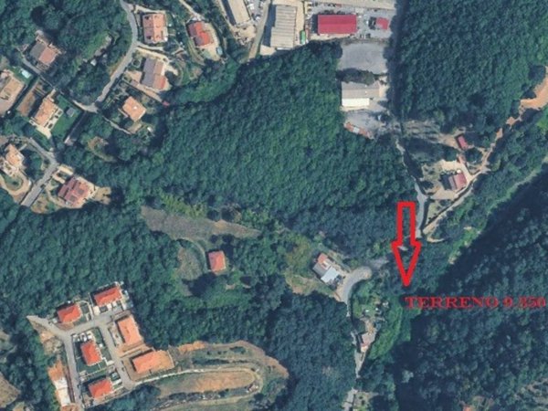 terreno agricolo in vendita a Bassano Romano