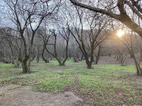 terreno agricolo in vendita a Bassano Romano