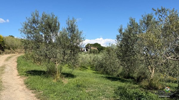 locale di sgombero in vendita a Bassano Romano