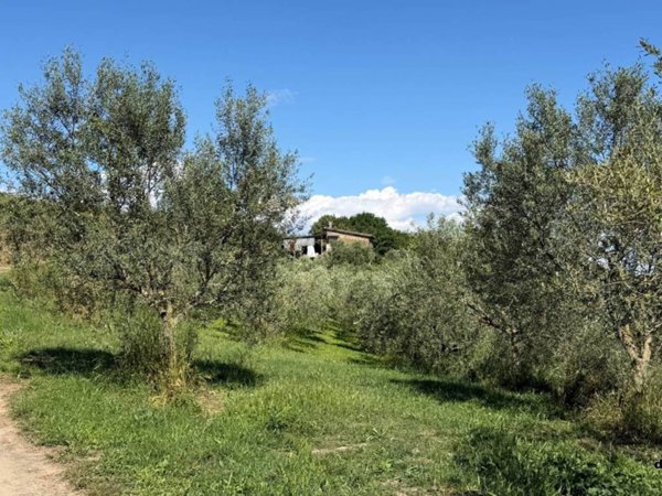 terreno agricolo in vendita a Bassano Romano