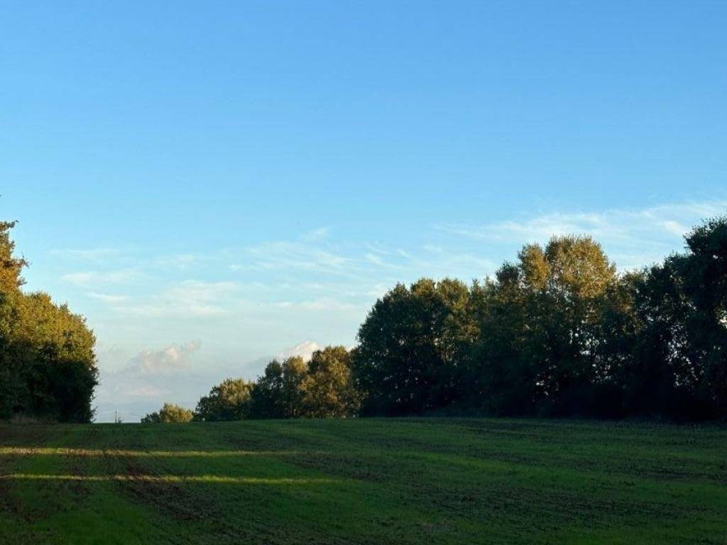 terreno agricolo in vendita a Bassano in Teverina