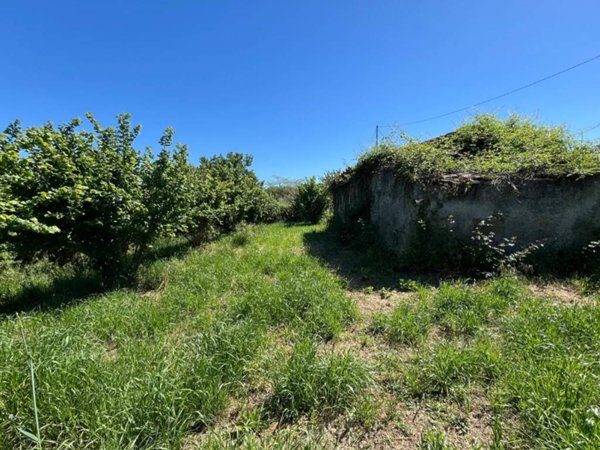 terreno agricolo in vendita a Bassano in Teverina
