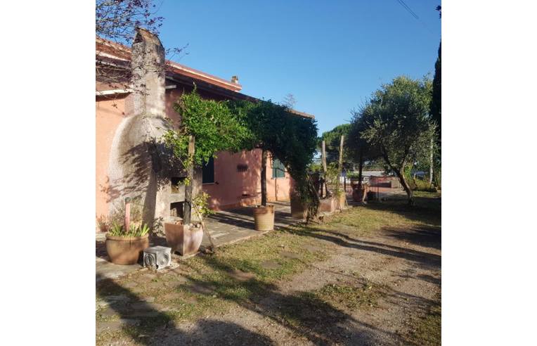casa indipendente in vendita a Bassano in Teverina