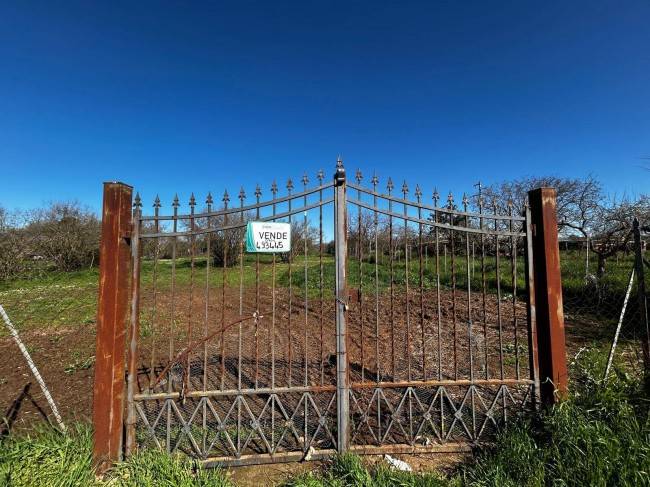 terreno agricolo in vendita a Bassano in Teverina