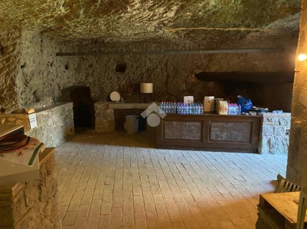 quadrivano in vendita a Bassano in Teverina