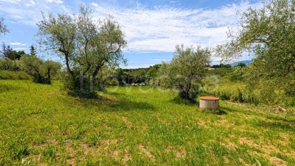 terreno agricolo in vendita a Bassano in Teverina