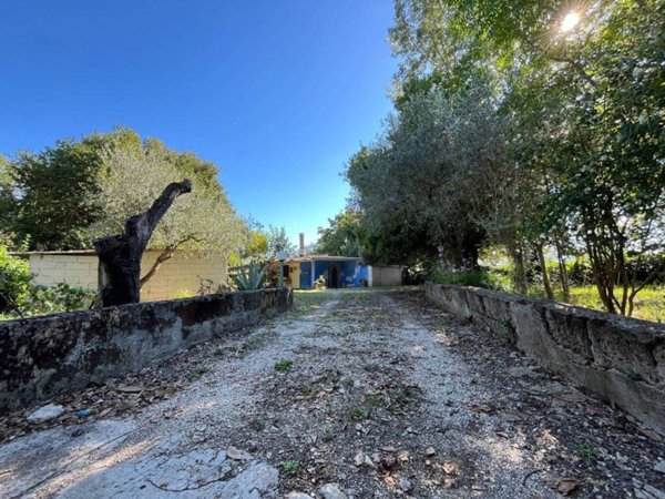 appartamento in vendita a Bassano in Teverina