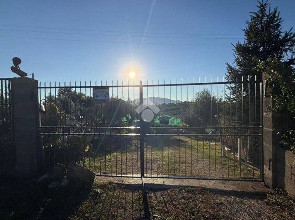 terreno agricolo in vendita a Bassano in Teverina