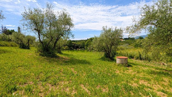 terreno agricolo in vendita a Bassano in Teverina