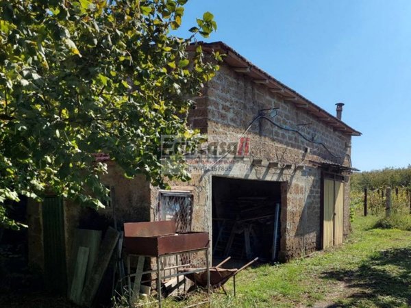 appartamento in vendita a Bassano in Teverina