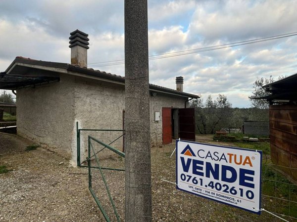 terreno agricolo in vendita a Bassano in Teverina