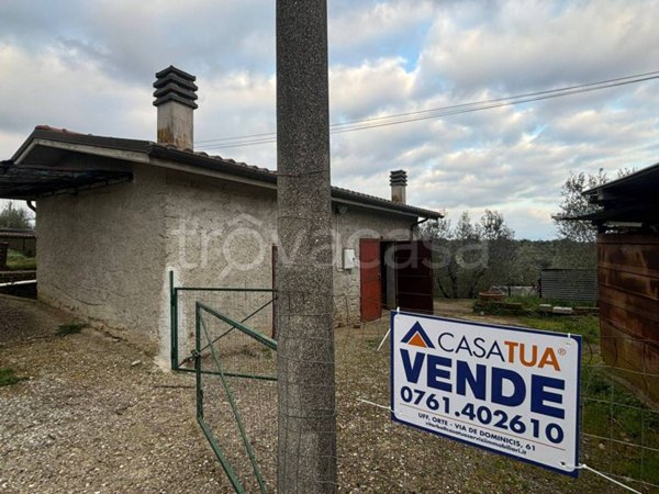 terreno agricolo in vendita a Bassano in Teverina
