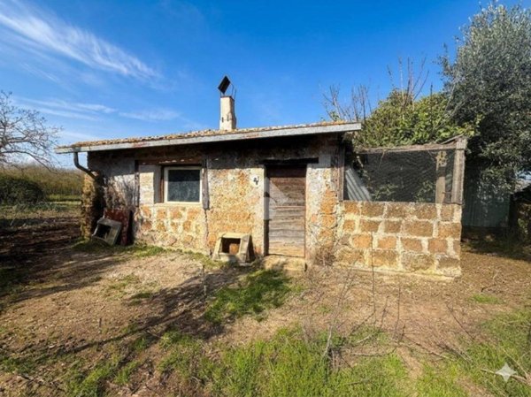 terreno agricolo in vendita a Bassano in Teverina
