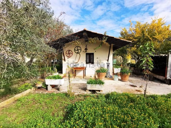 appartamento in vendita a Bassano in Teverina