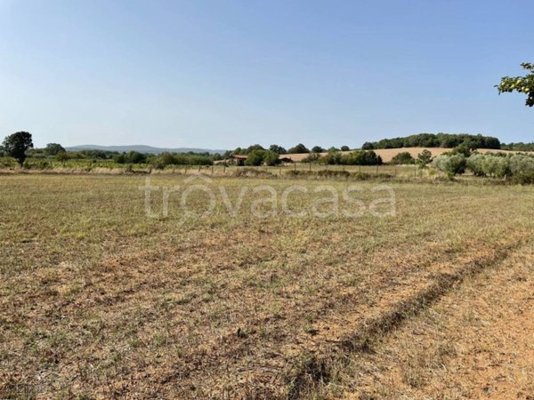 terreno agricolo in vendita a Blera in zona Civitella Cesi