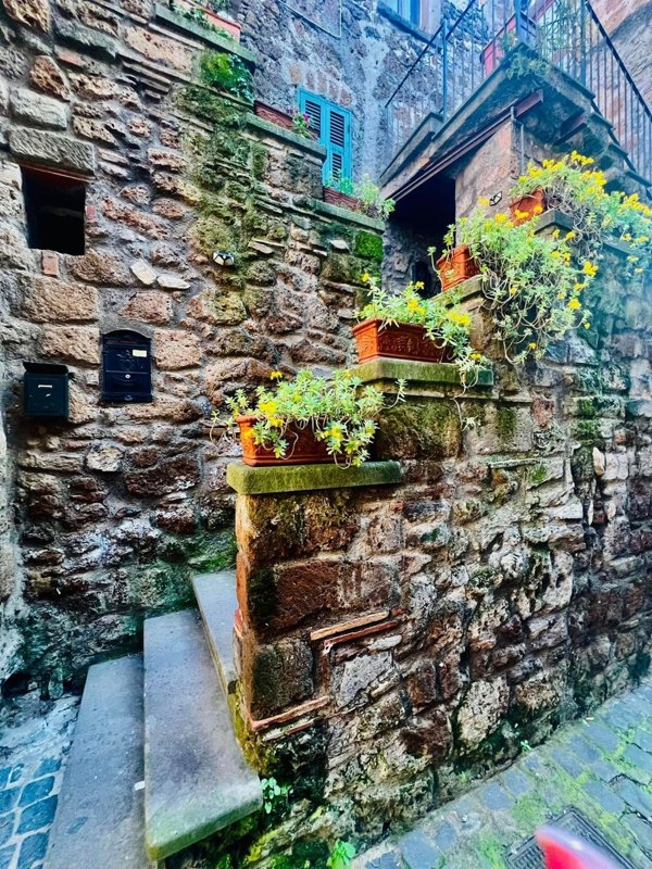 appartamento in vendita a Blera