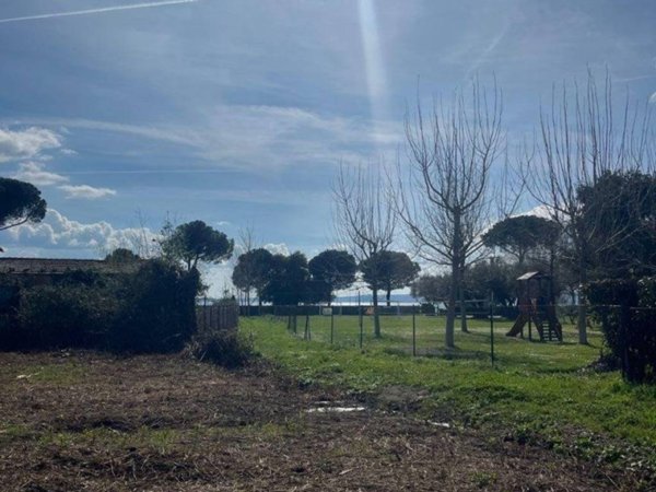 terreno agricolo in vendita a Bolsena