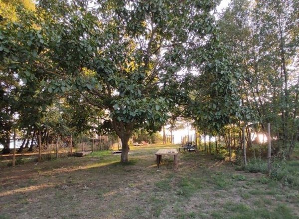 terreno agricolo in vendita a Bolsena