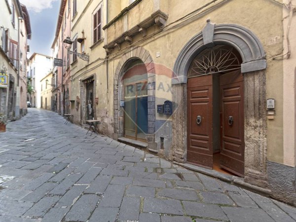 appartamento in vendita a Bolsena