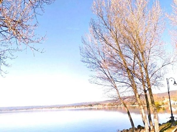 appartamento in vendita a Bolsena