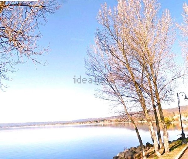 appartamento in vendita a Bolsena