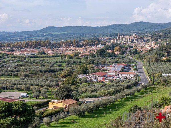 casa indipendente in vendita a Bolsena