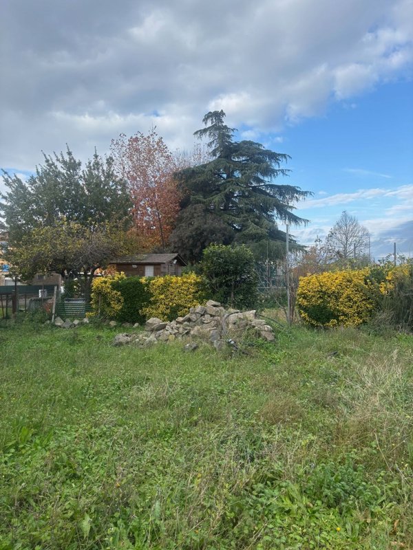 appartamento in vendita a Bolsena