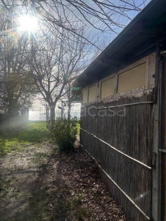 terreno agricolo in vendita a Bolsena