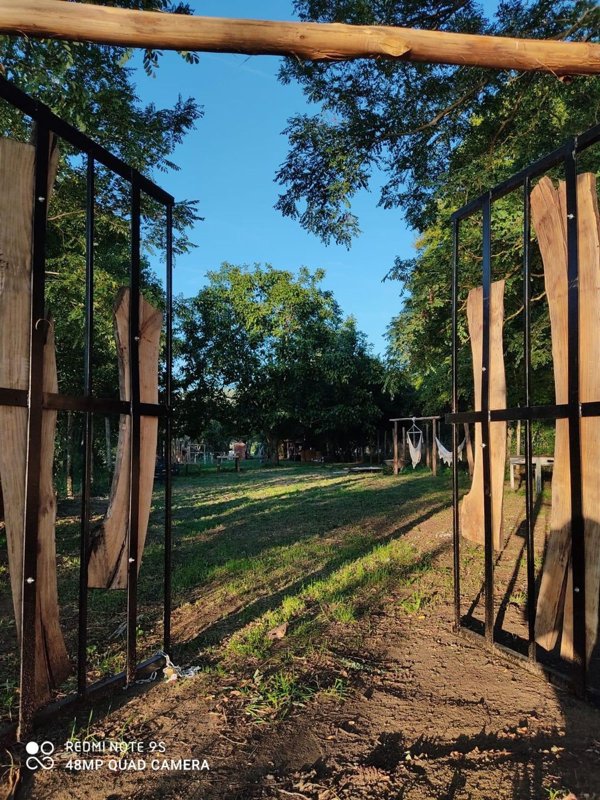 terreno agricolo in vendita a Bolsena