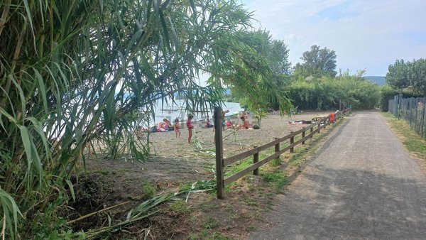 terreno agricolo in vendita a Bolsena