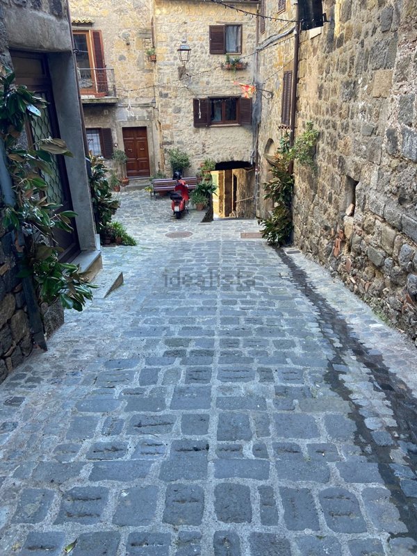 appartamento in vendita a Bolsena