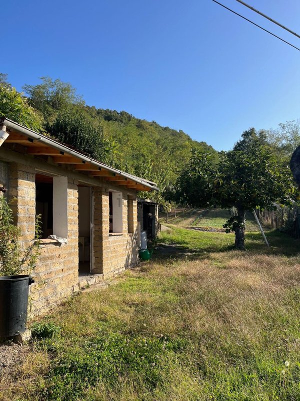 terreno agricolo in vendita a Bolsena