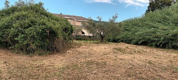 terreno agricolo in vendita a Bolsena