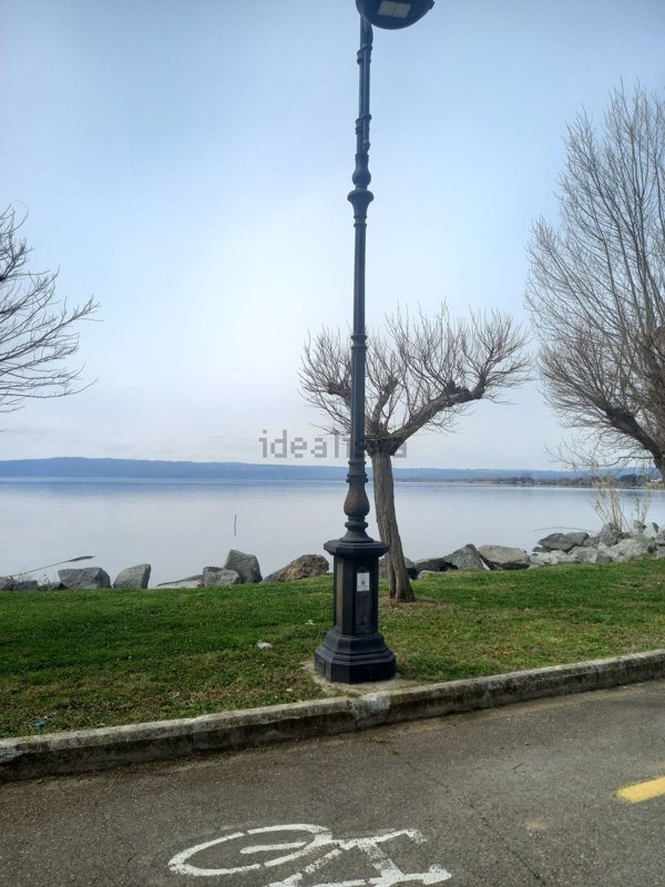 terreno agricolo in vendita a Bolsena