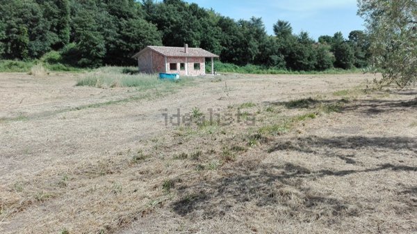 appartamento in vendita a Bolsena