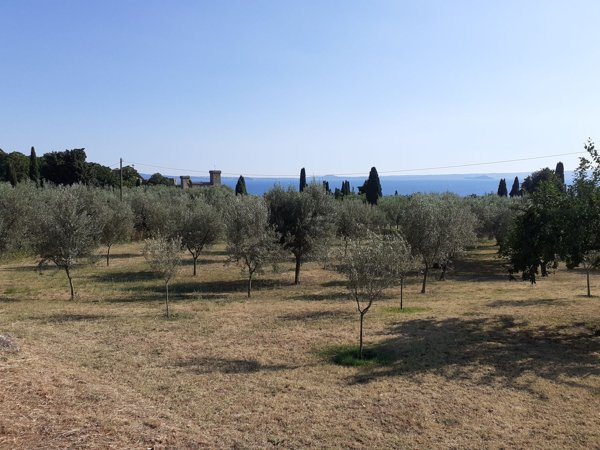 villa in vendita a Bolsena