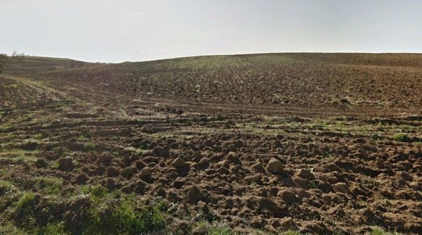 terreno agricolo in vendita a Bolsena