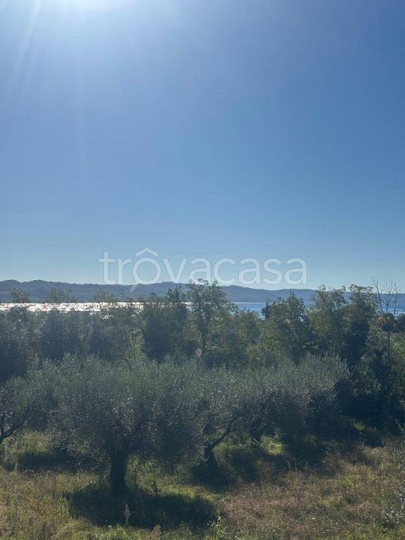 terreno agricolo in vendita a Bolsena