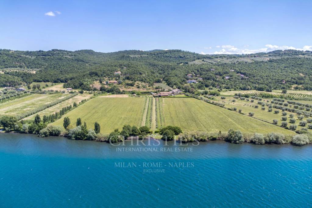 azienda agricola in vendita a Bolsena