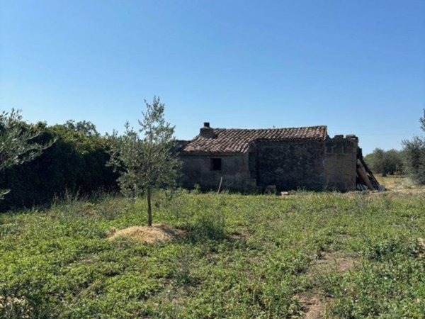 terreno agricolo in vendita a Bolsena