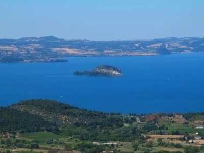 negozio in vendita a Bolsena