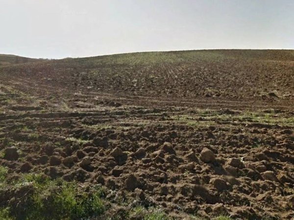 terreno agricolo in vendita a Bolsena