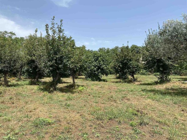 appartamento in vendita a Bolsena