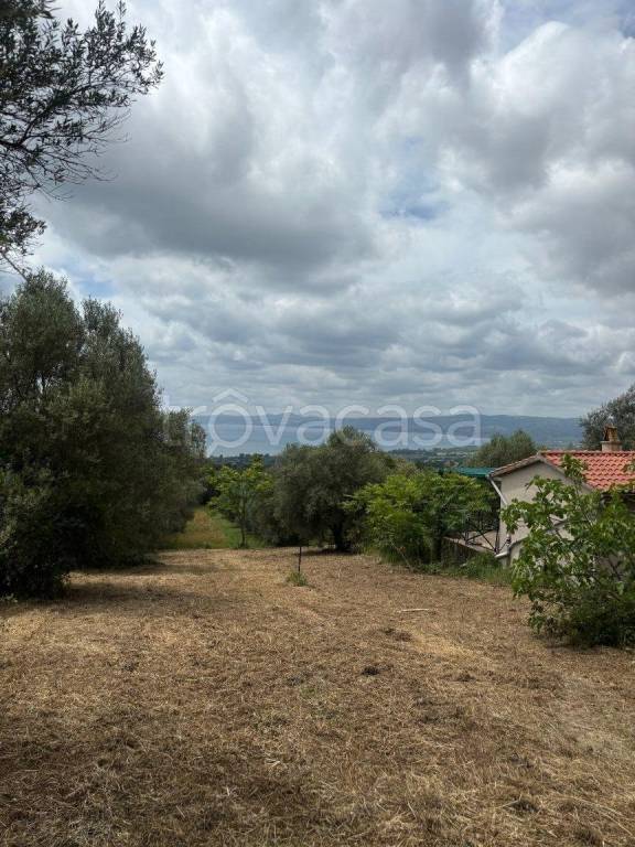 terreno agricolo in vendita a Bolsena